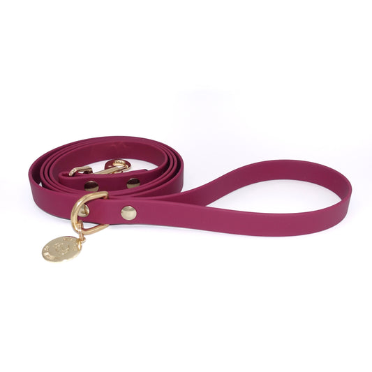 Burgundy dog leash with gold hardware on a white background