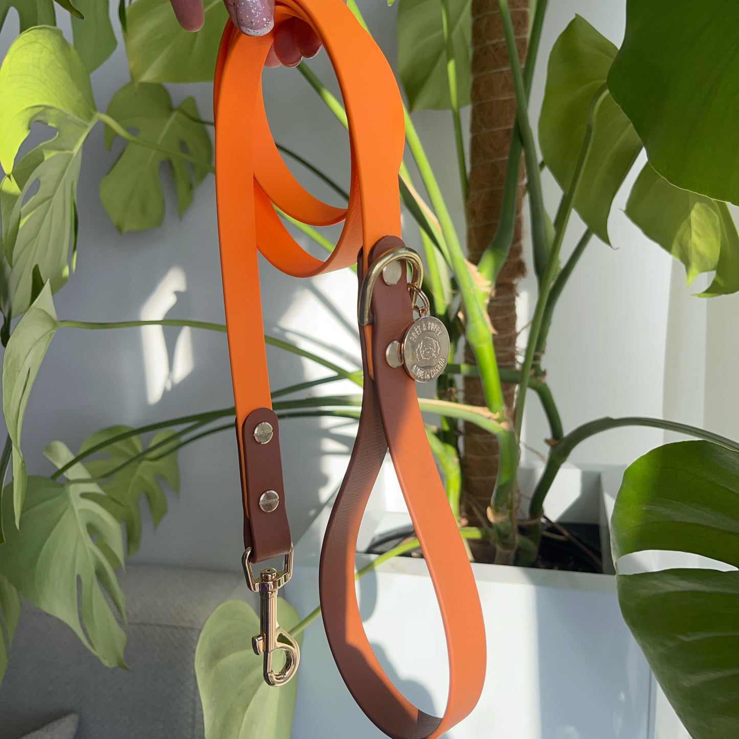 Original Leash - Design your Own