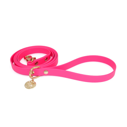 Pink dog leash with gold hardware on a white background