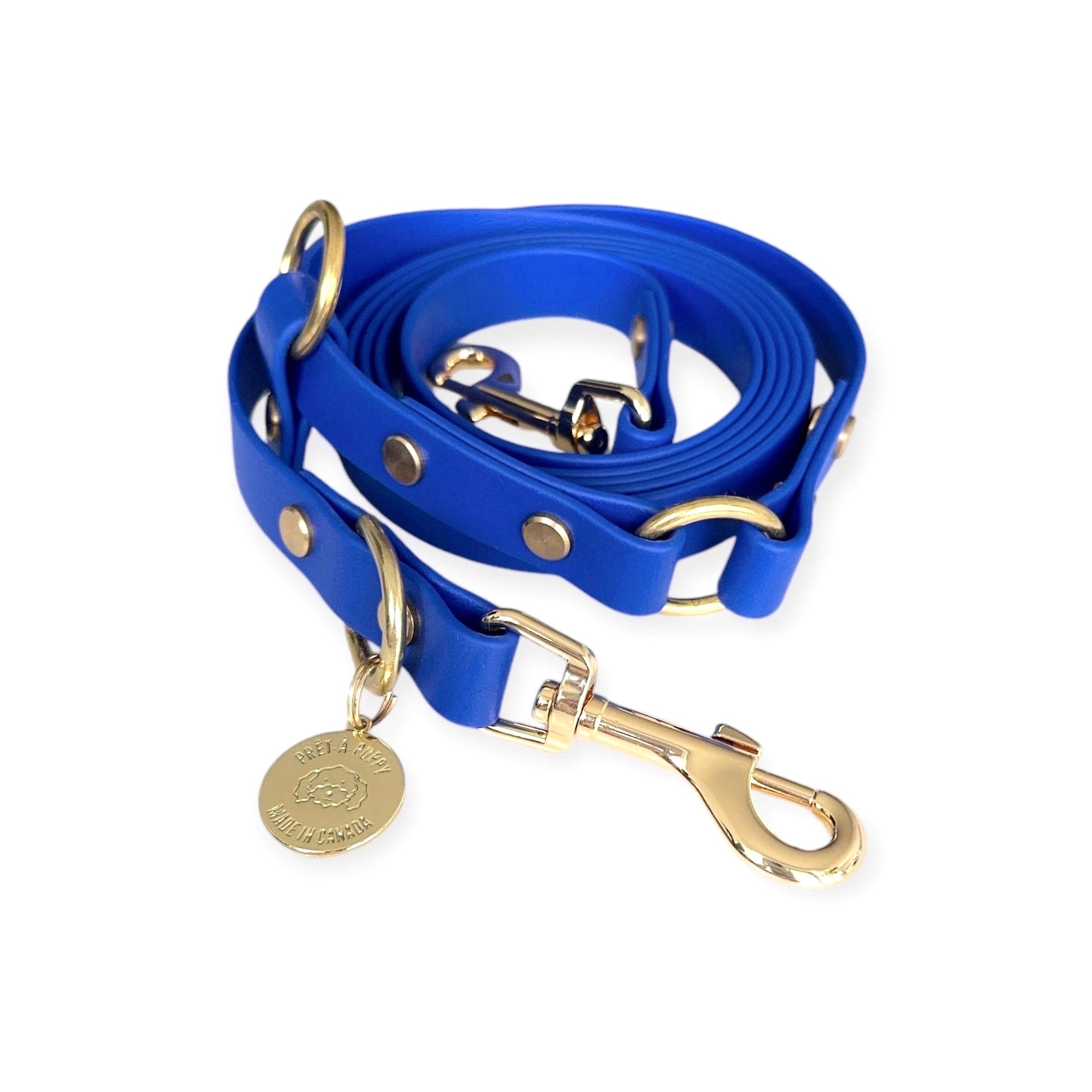 Royal Blue Biothane hands-free dog leash with gold hardware, waterproof and versatile for waist or crossbody wear