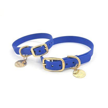 Stylish royal blue dog collar made from high-quality vegan leather, featuring elegant gold hardware. This waterproof collar is soft to the touch, ensuring comfort for your pet while providing durability for everyday use. Ideal for pet owners looking for a fashionable, and long-lasting accessory for their dog.