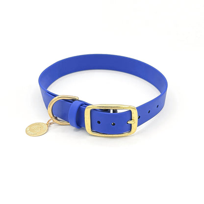 Stylish royal blue dog collar made from high-quality vegan leather, featuring elegant gold hardware. This waterproof collar is soft to the touch, ensuring comfort for your pet while providing durability for everyday use. Ideal for pet owners looking for a fashionable, and long-lasting accessory for their dog.