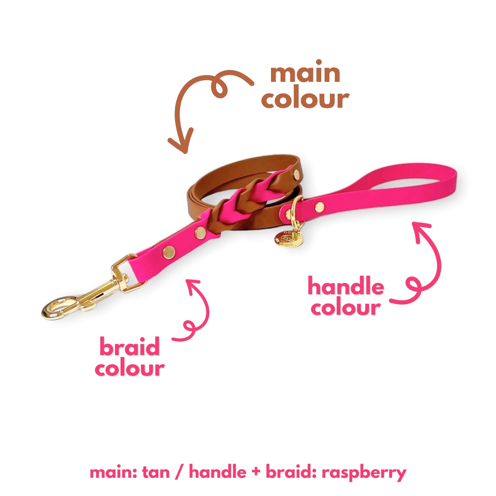 Biothane braided dog leash with gold hardware, waterproof and durable, stylish for everyday walks 