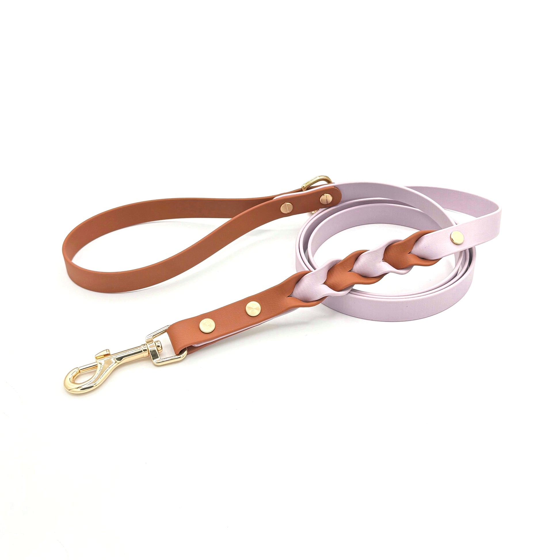 Biothane braided dog leash with gold hardware, waterproof and durable, stylish for everyday walks 