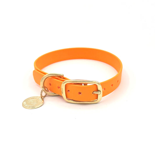 Stylish orange dog collar made from high-quality vegan leather, featuring elegant gold hardware. This waterproof collar is soft to the touch, ensuring comfort for your pet while providing durability for everyday use. Ideal for pet owners looking for a fashionable, and long-lasting accessory for their dog.