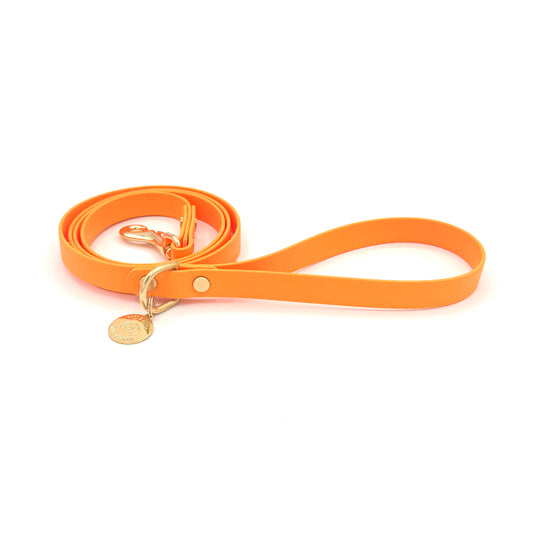 Stylish orange dog leash made from high-quality vegan leather, featuring elegant gold hardware. This waterproof leash is soft to the touch, ensuring comfort for pet owners while providing durability for everyday walks. Ideal for pet owners looking for a fashionable, and long-lasting accessory for their dog