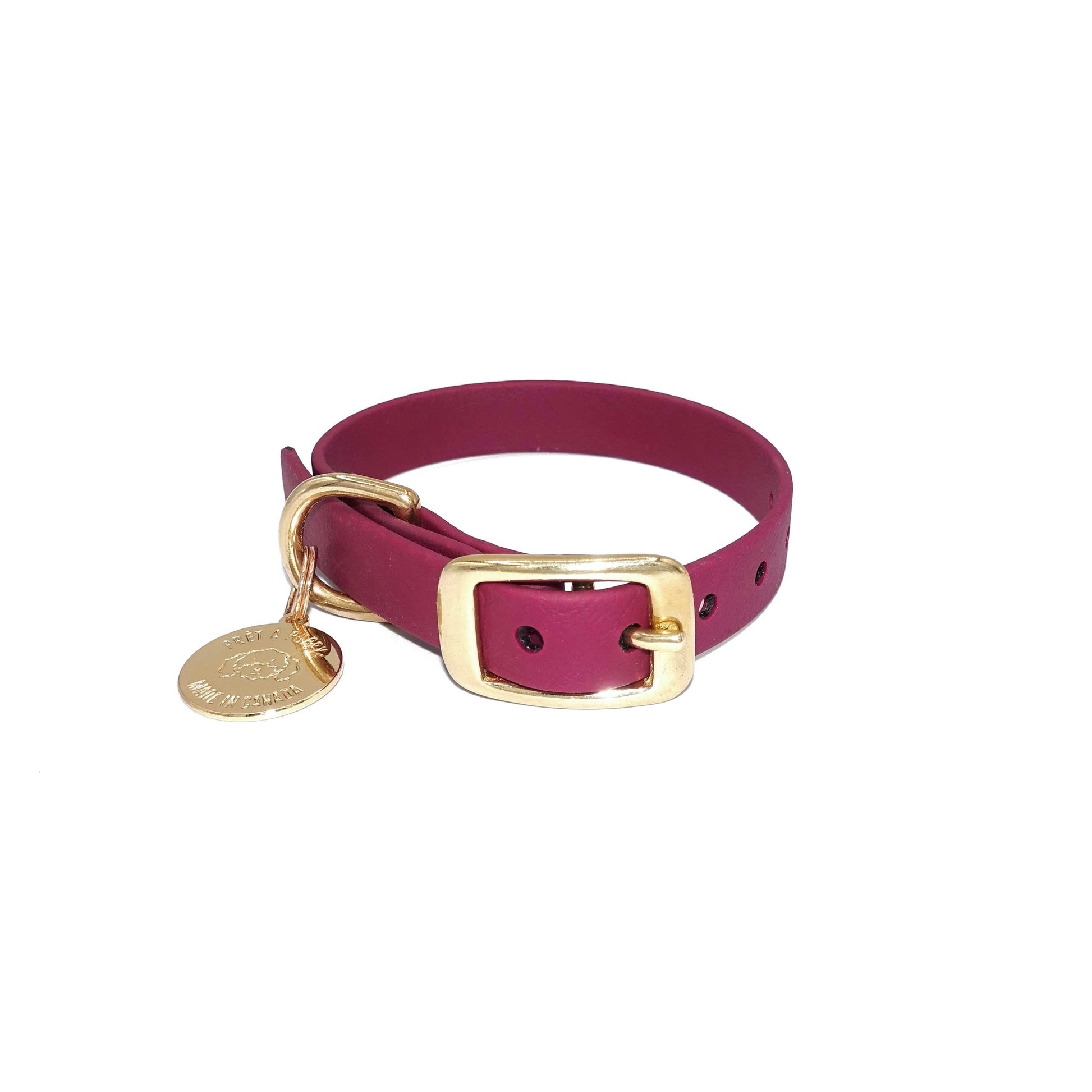 Burgundy dog collar with gold buckle and tag on a white background