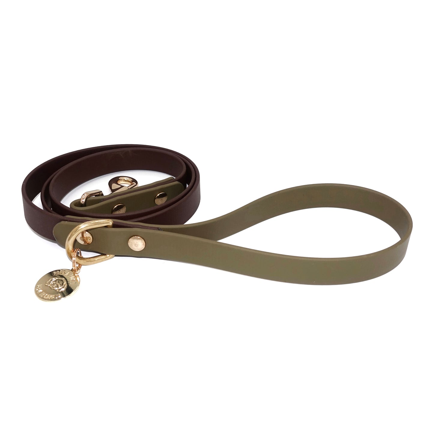 Dog leash in brown and green and gold hardware on a white background