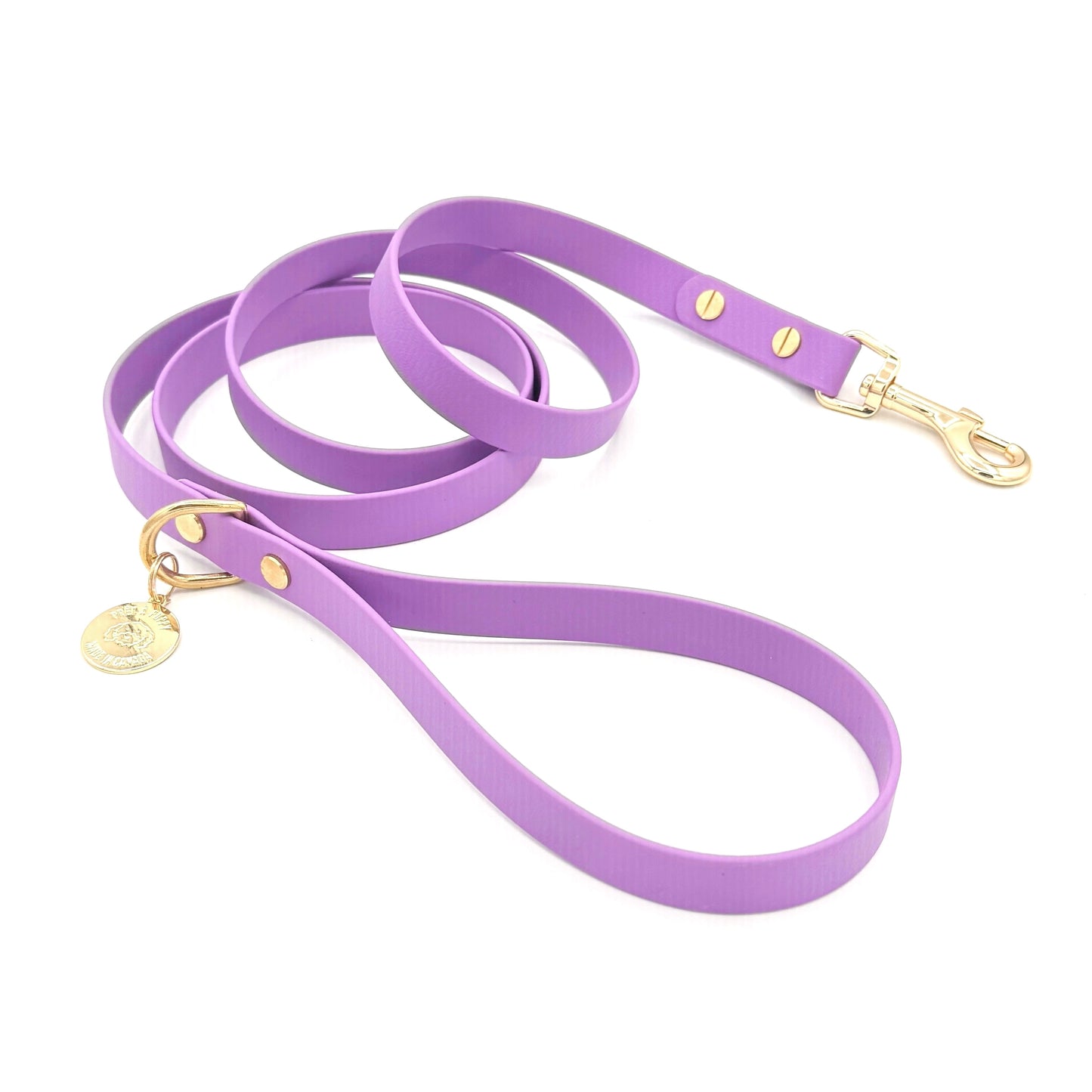 Purple dog leash with gold hardware on a white background