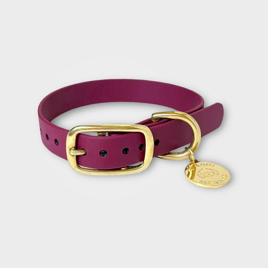 Burgundy maroon original dog collar with gold brass hardware