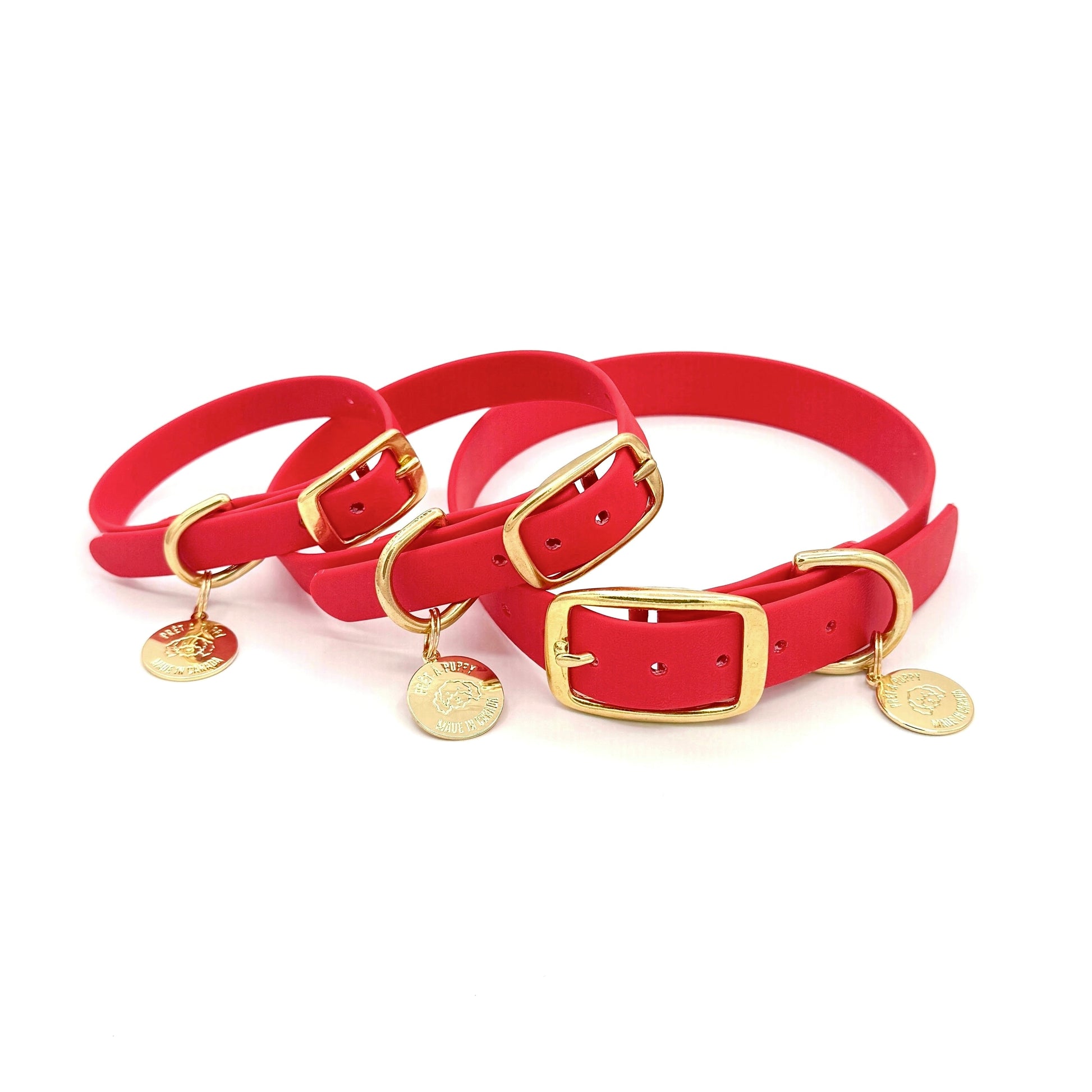 Red dog collars with gold buckles and tags on a white background