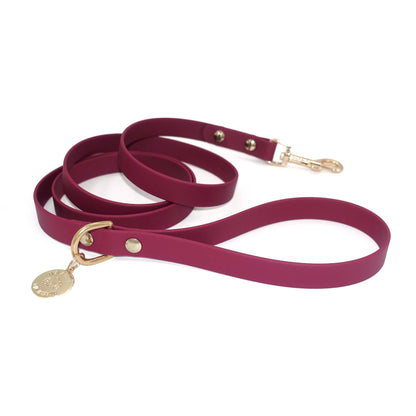 Maroon dog leash with gold hardware on a white background