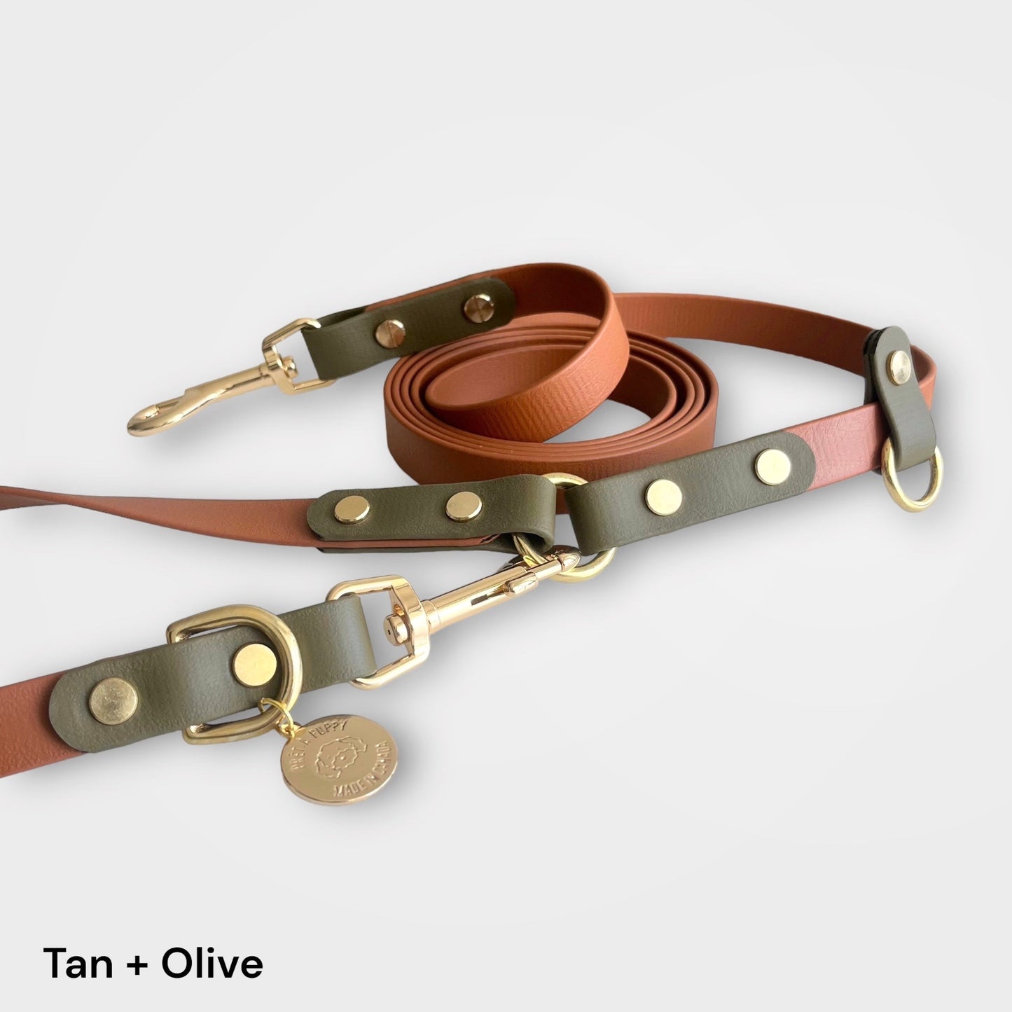 Two tone design-your-own hands-free dog leash with gold brass hardware 