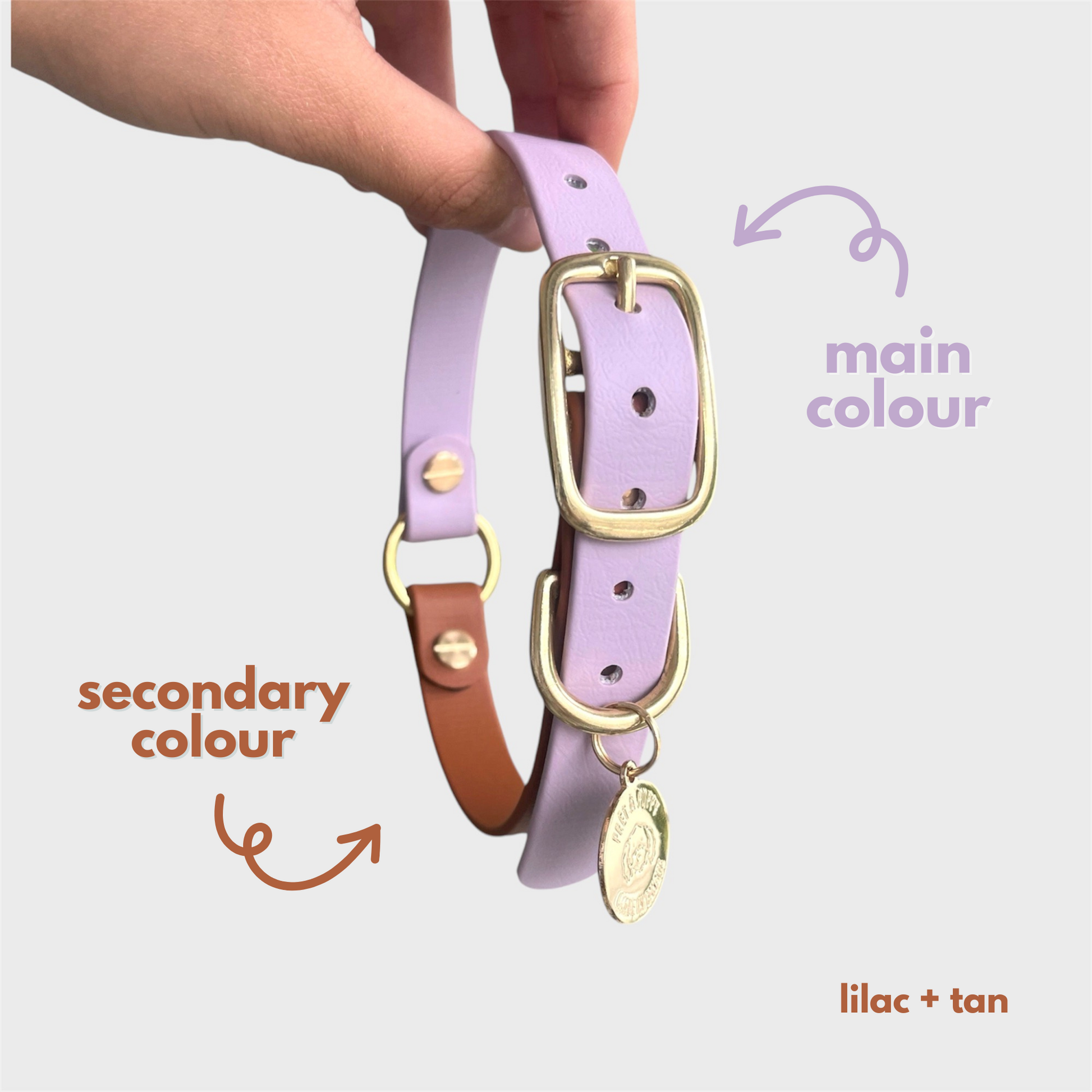 Design your own collar shop