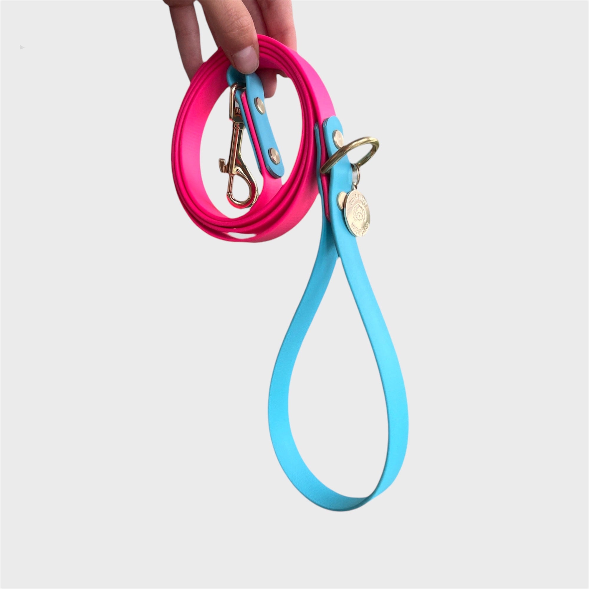 Design your own dog leash clearance