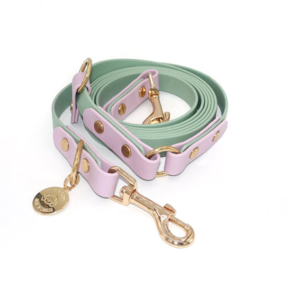 Hands Free Leash - Design your Own