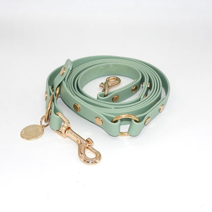 Hands Free Leash