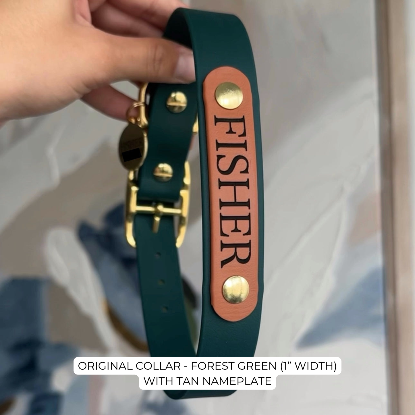 Green dog collar with tan nameplate and gold hardware, held by a hand.