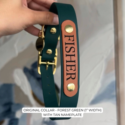 Green dog collar with tan nameplate and gold hardware, held by a hand.