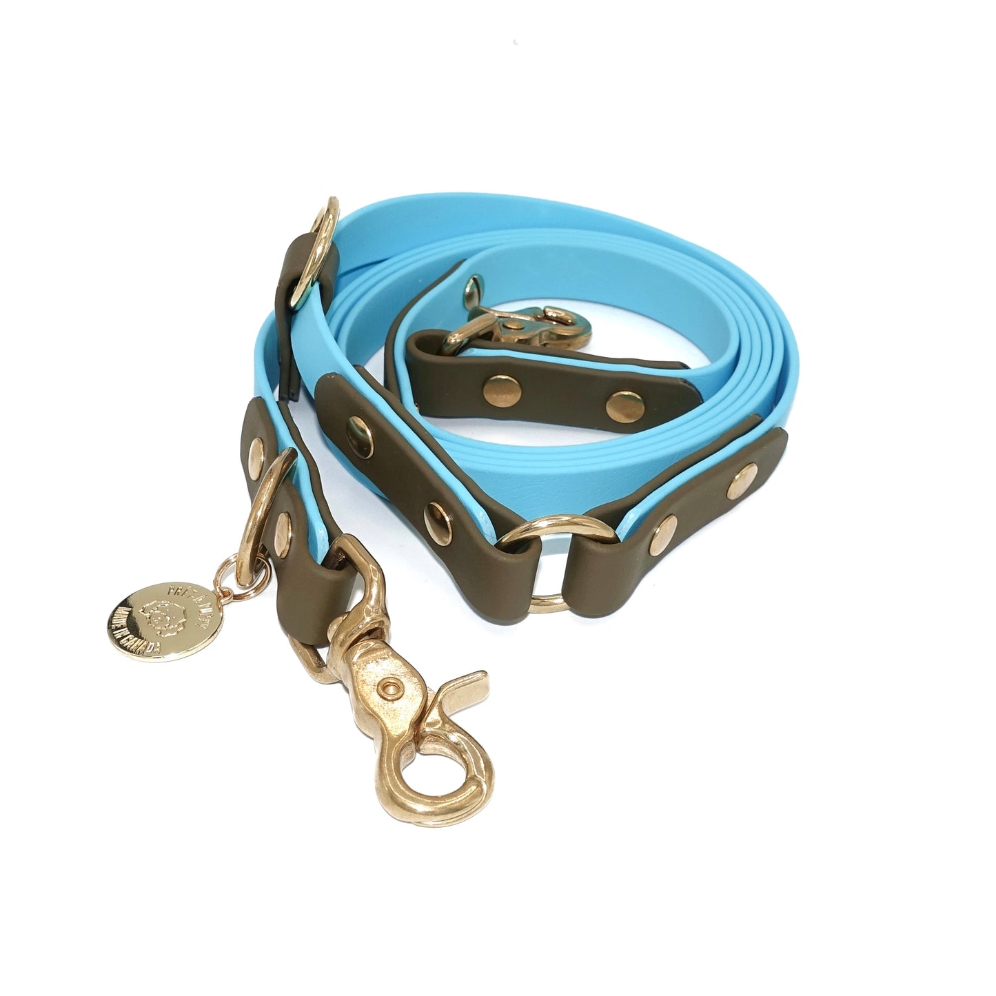 Dog leash with blue and brown design on a white background