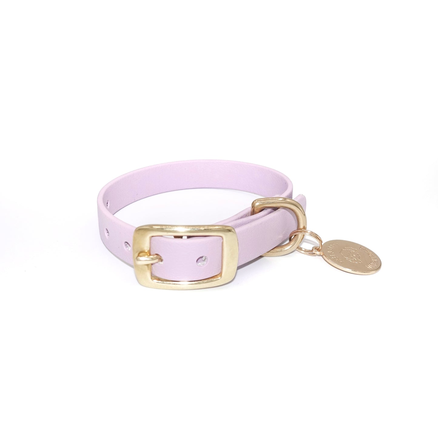 Lavender dog collar with a gold buckle and tag on a white background