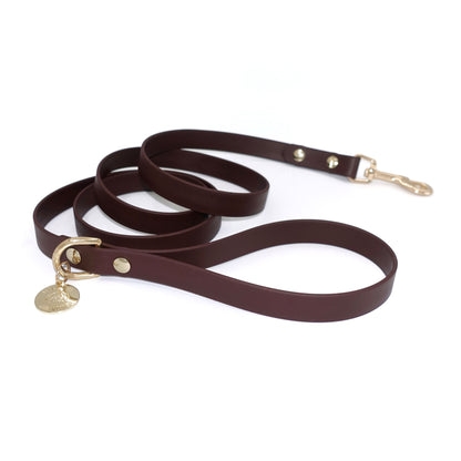 Brown dog leash with gold hardware on a white background