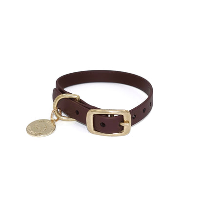 Brown dog collar with a gold buckle and tag on a white background