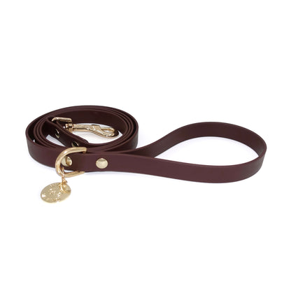 Brown dog leash with gold hardware on a white background