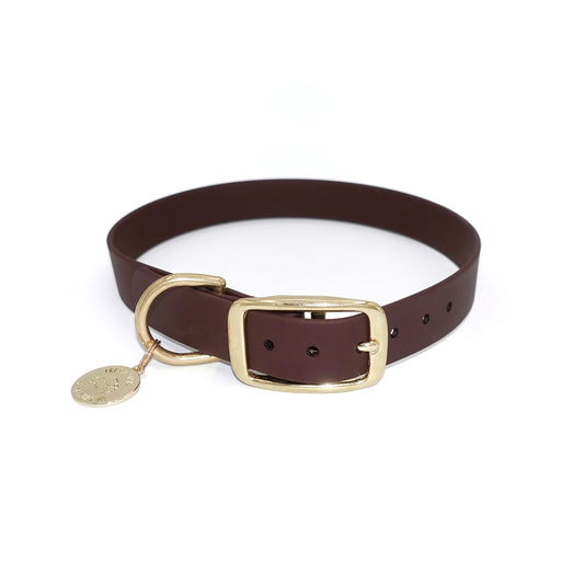Dark brown dog collar with gold hardware and charm on white background 