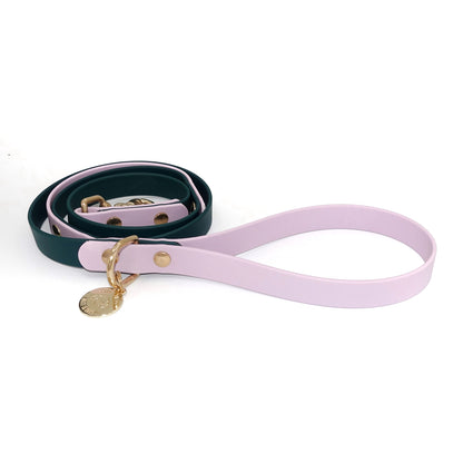 Dog leash in lilac and green with gold hardware on a white background
