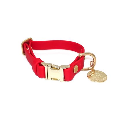 Collier à dégagement rapide réglable