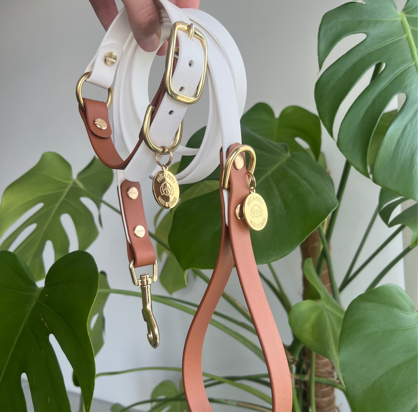 Original Collar - Design your Own