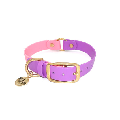 Original Collar - Design your Own