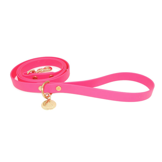 Raspberry Hot Pink Biothane dog leash with gold hardware, waterproof and durable, stylish for daily dog walks