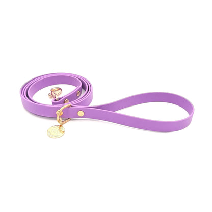 Purple dog leash with gold hardware and tag on a white background