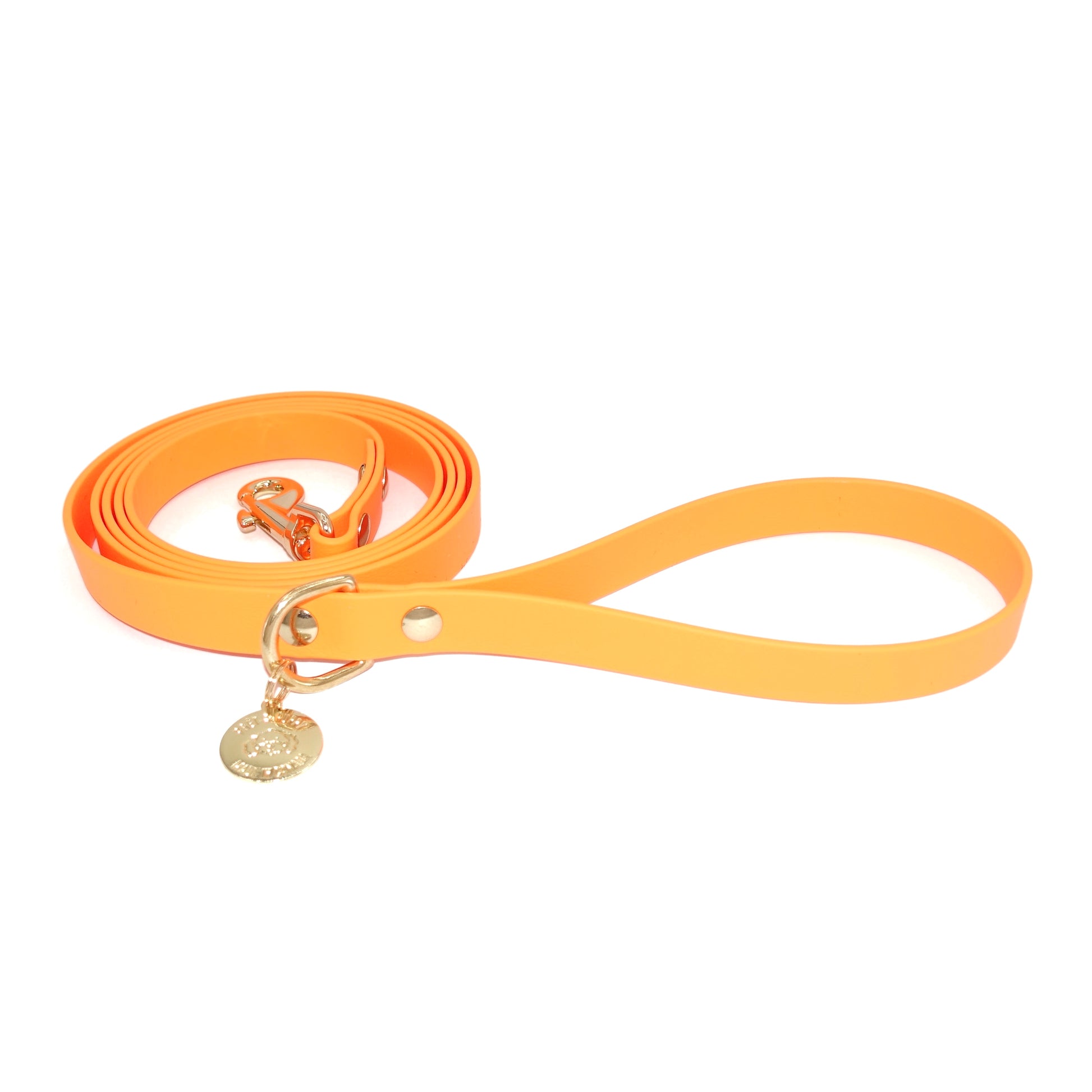 Orange dog leash with a gold clasp and charm on a white background