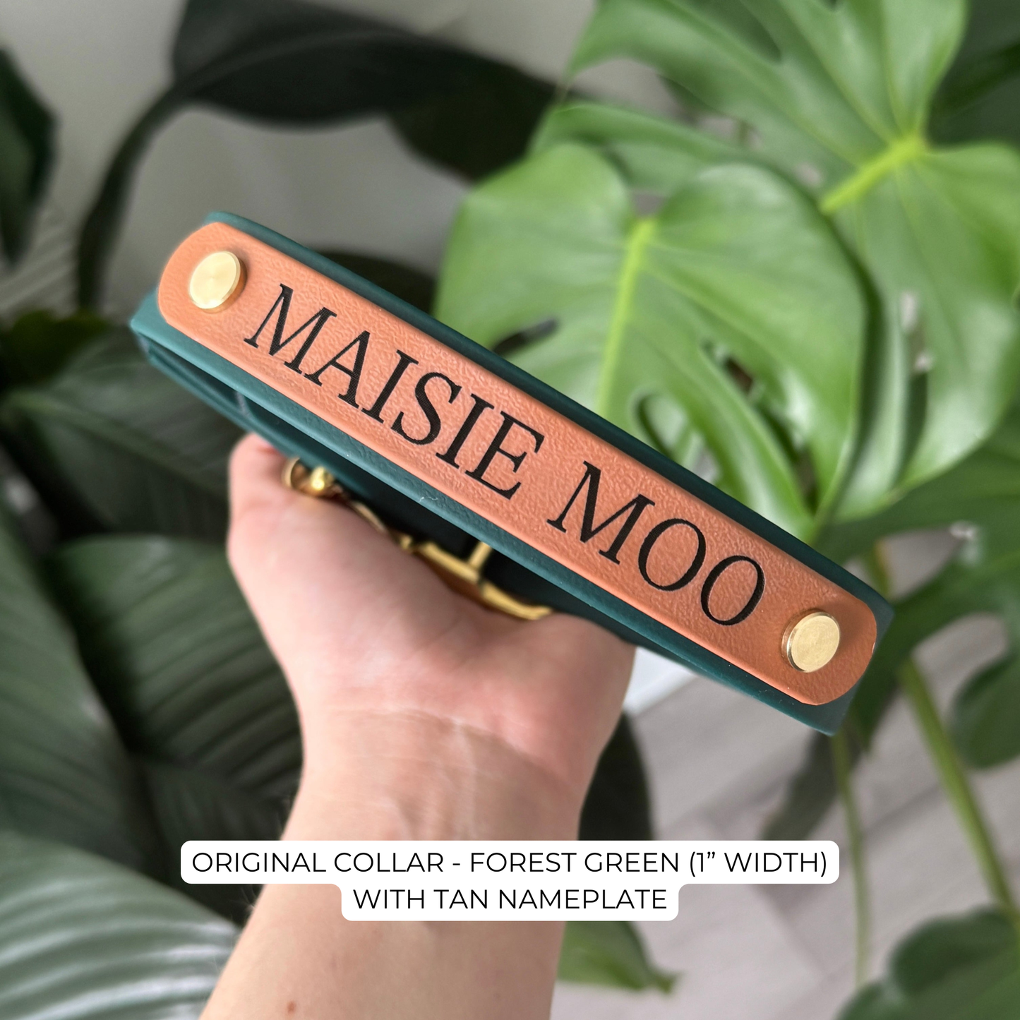 Ajouter une plaque signalétique