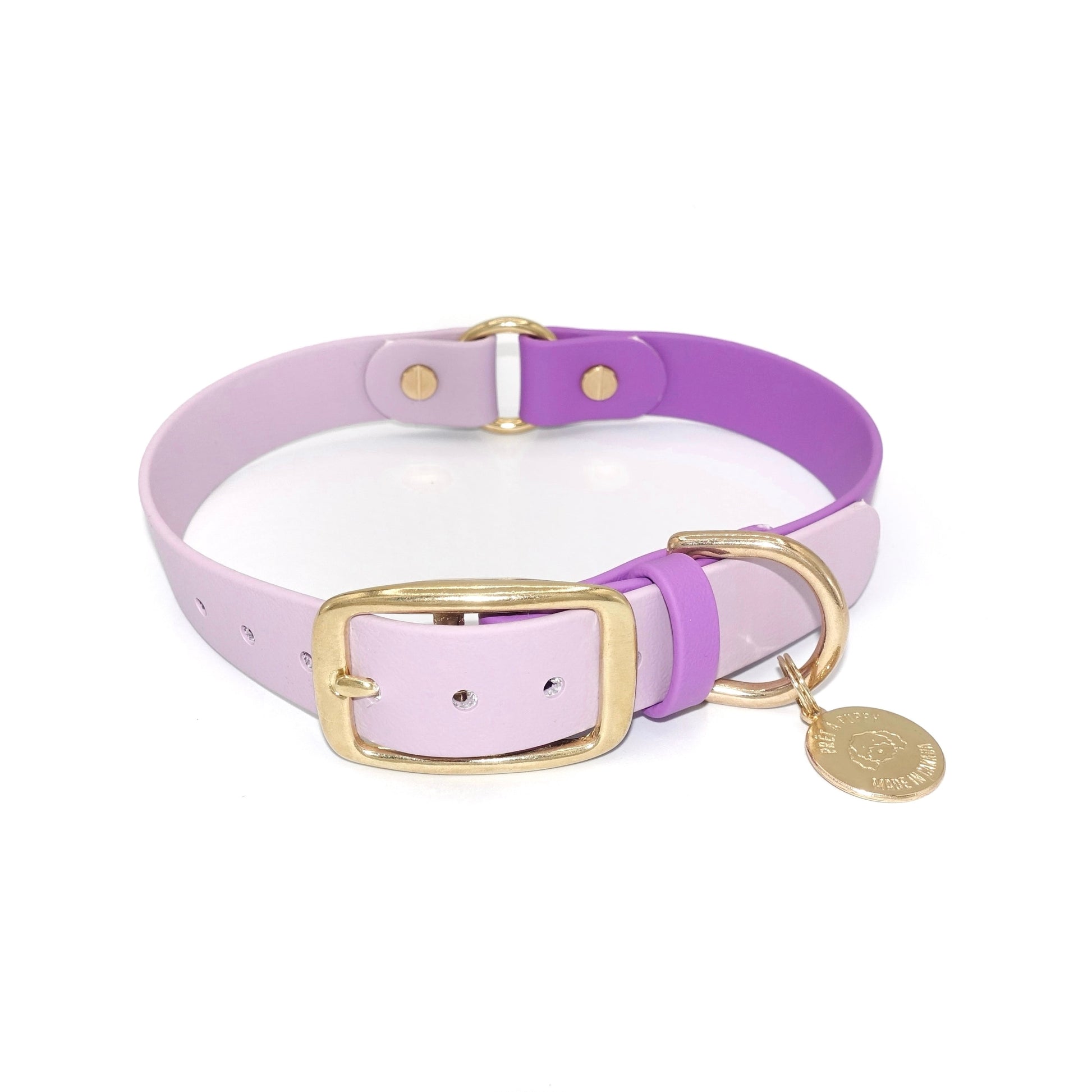 Purple dog collar with gold hardware and a tag on a white background