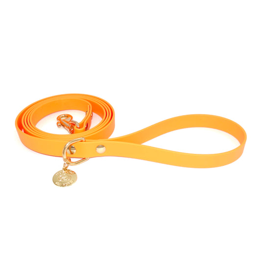 Orange dog leash with a gold charm on a white background