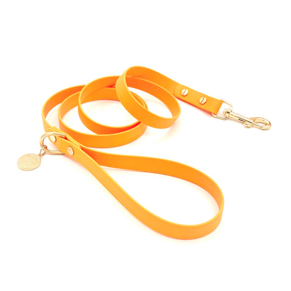 Orange dog leash with gold clasp and tag on a white background