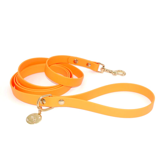 Orange dog leash with gold hardware on a white background