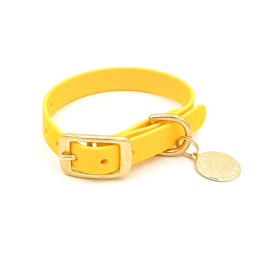 Lemon - Original Collar