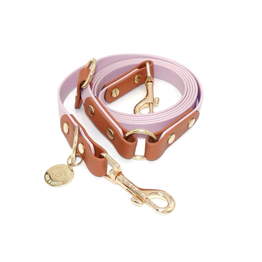 Biothane hands-free dog leash with gold hardware, waterproof and wearable crossbody, purple and brown