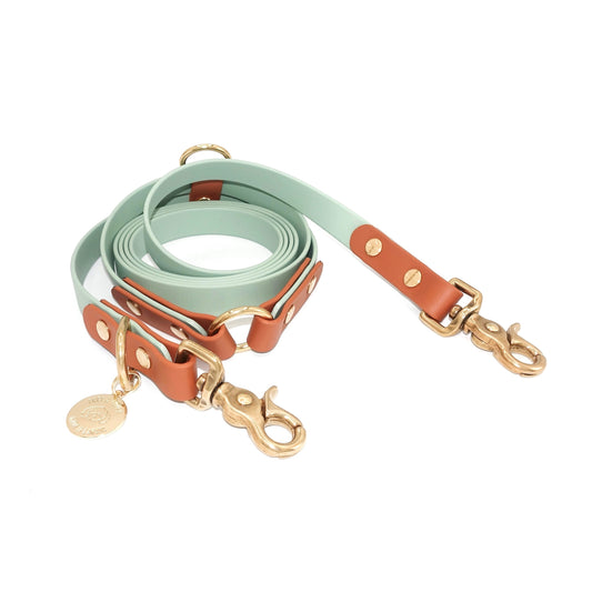 Dog leash in green and brown with gold hardware on a white background