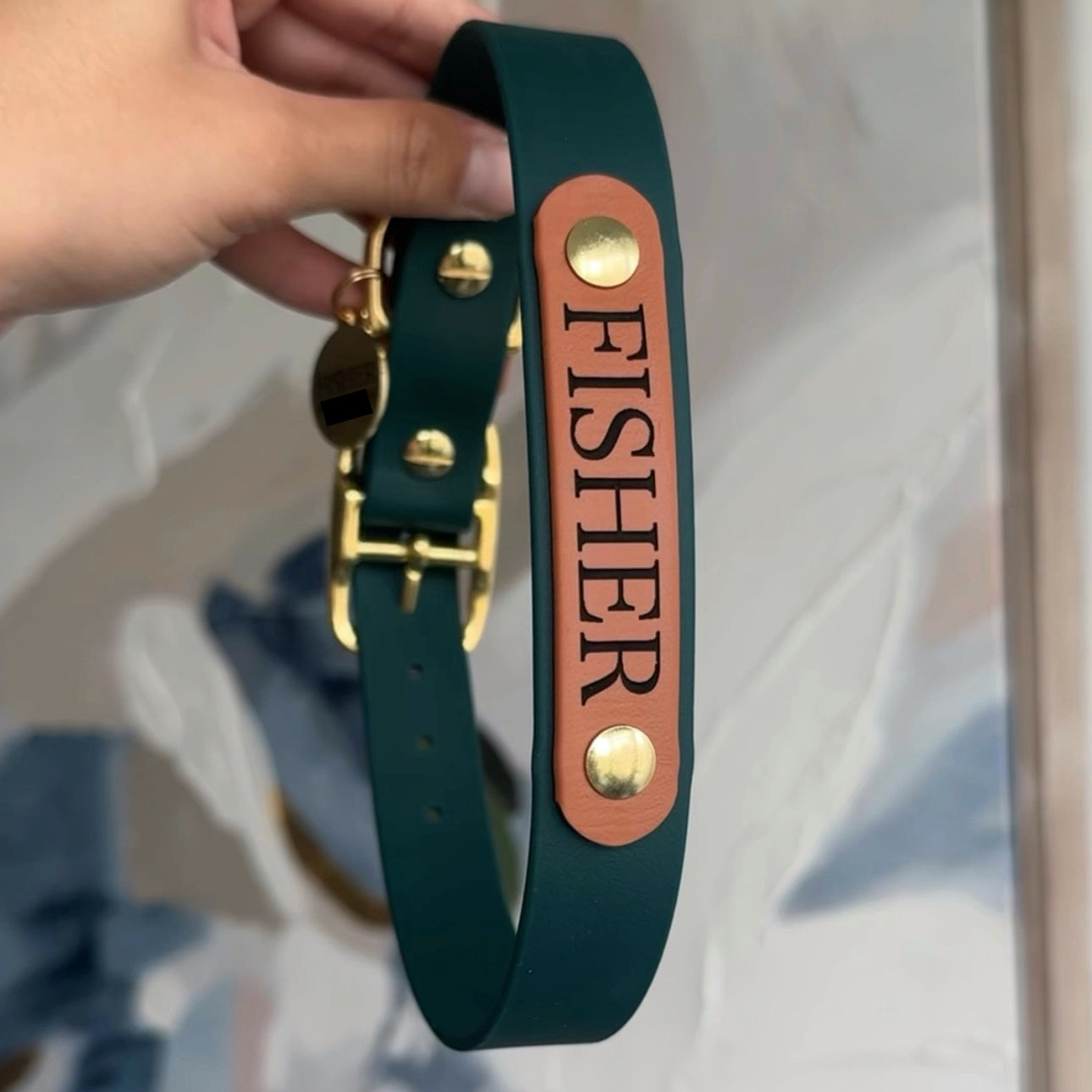 Green leather dog collar with brown nameplate 'FISHER' held by a hand.