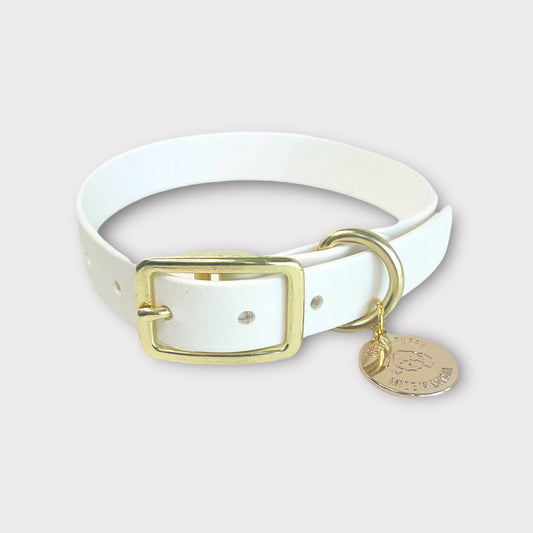 White Original Dog collar with gold brass hardware