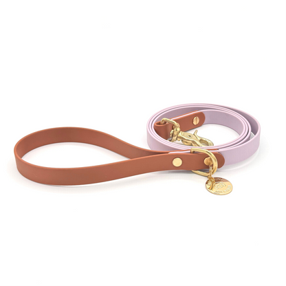 Purple and brown  Biothane dog leash with gold hardware, waterproof and durable, stylish for daily dog walks