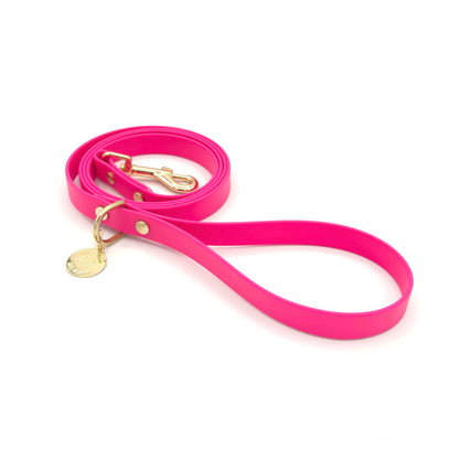 Stylish hot pink dog leash made from high-quality vegan leather, featuring elegant gold hardware. This waterproof leash is soft to the touch, ensuring comfort for pet owners while providing durability for everyday walks. Ideal for pet owners looking for a fashionable, and long-lasting accessory for their dog