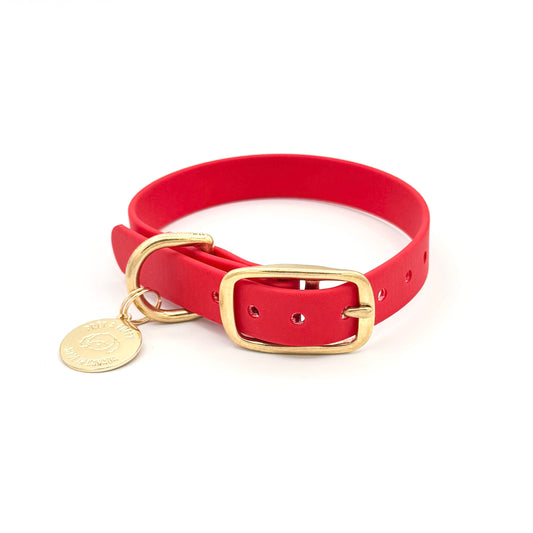 Stylish red dog collar made from high-quality vegan leather, featuring elegant gold hardware. This waterproof collar is soft to the touch, ensuring comfort for your pet while providing durability for everyday use. Ideal for pet owners looking for a fashionable, and long-lasting accessory for their dog.