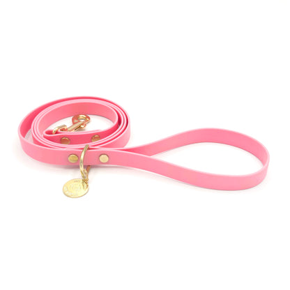 Stylish light pink dog leash made from high-quality vegan leather, featuring elegant gold hardware. This waterproof leash is soft to the touch, ensuring comfort for pet owners while providing durability for everyday walks. Ideal for pet owners looking for a fashionable, and long-lasting accessory for their dog